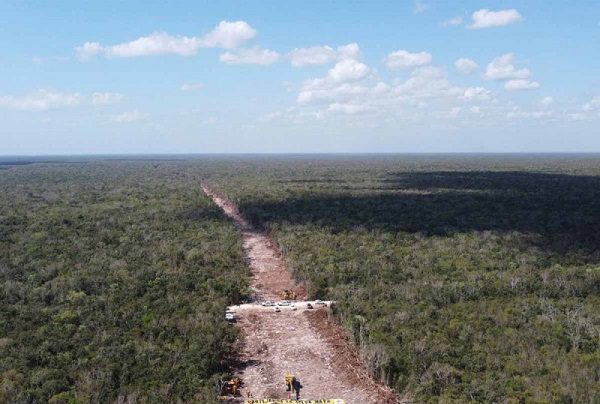 Semarnat autoriza estudio de impacto ambiental del Tren Maya