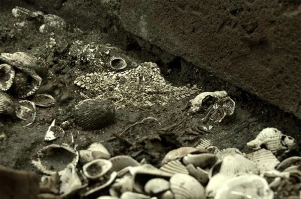 Arqueólogos del INAH descubren restos de cuatro niños aztecas