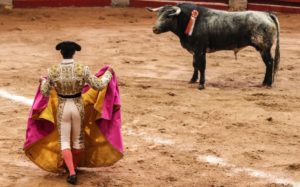 Confirman suspensión provisional de corridas de toros en la CDMX