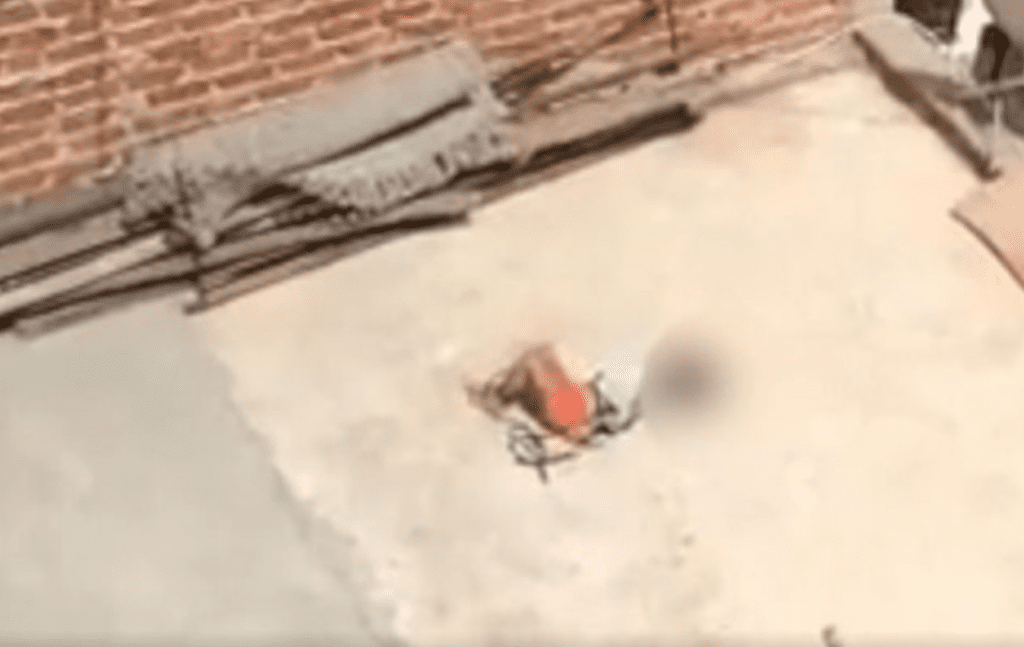 Madre amarra a su hija en la azotea por no hacer la tarea