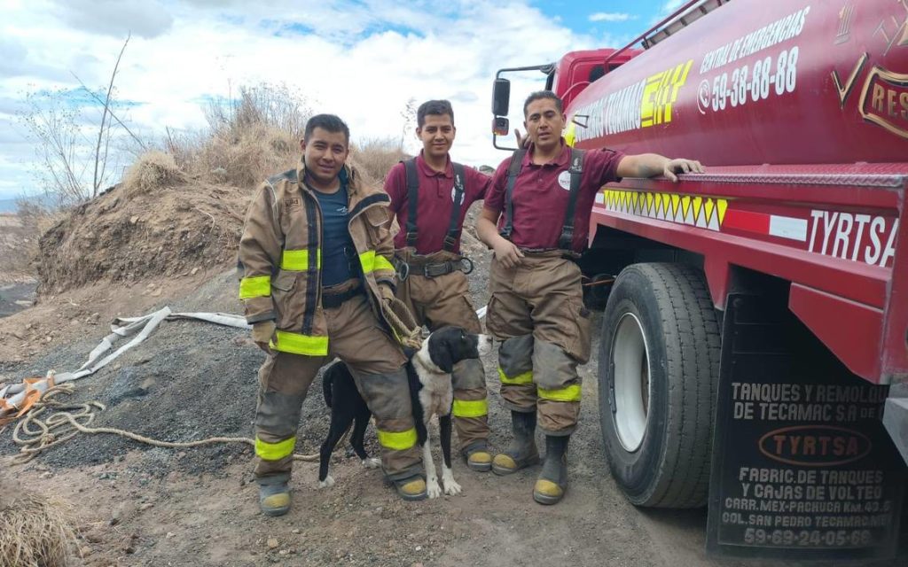 Perrito rescatado de una mina de Tecámac