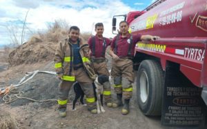 Rescatan a perrito atrapado en una mina de Tecámac #VIDEO