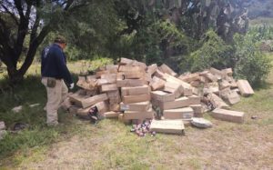 Abandonan 300 cajas de jarabe para la tos en paraje de Hidalgo