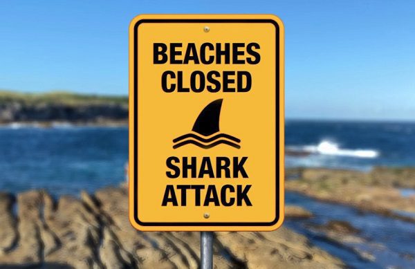 Tiburón ataca a una menor en Florida mientras se encontraba en la playa