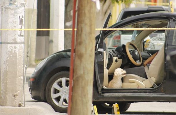 Perrito se queda con su dueña tras ser asesinada en su auto, en Guanajuato