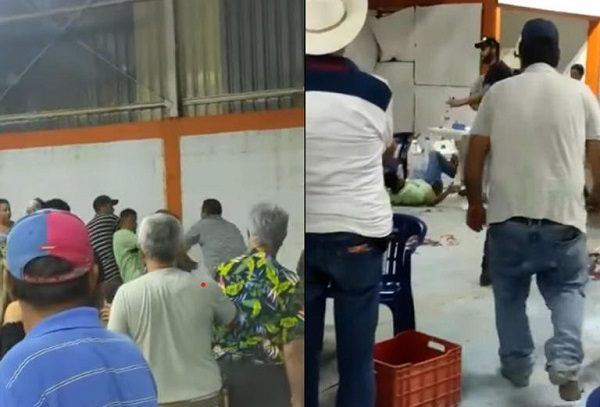 Pelea de gallos clandestina termina a puñetazos en Veracruz