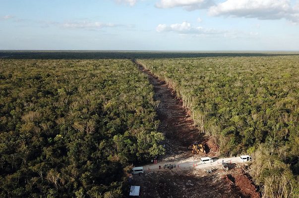 Sélvame del Tren denuncia ante la Unesco daños arqueológicos por el Tren Maya