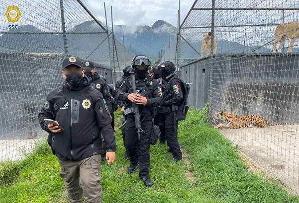 Piden a Fiscalía CDMX ubicar fosas de felinos en Tlalpan