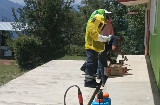 Ataque de abejas en escuela primaria de Hidalgo deja más de 20 lesionados