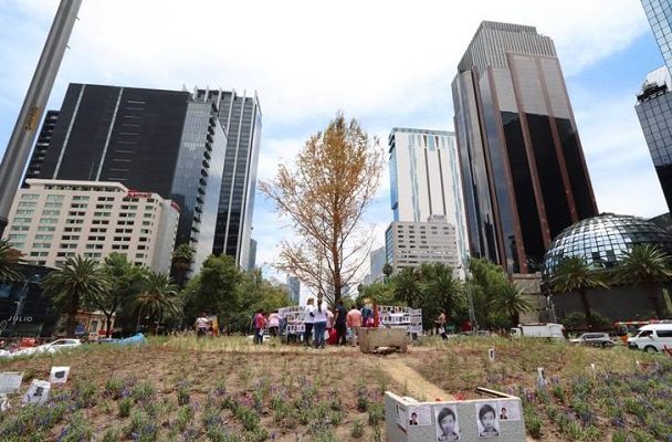 Sedema insiste en que Ahuehuete de Reforma se encuentra en un momento de estrés