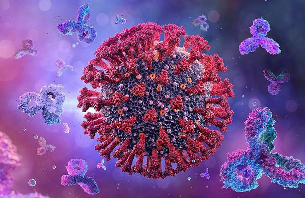 China detecta una nueva subvariante de Ómicron en Shanghái; esto se sabe