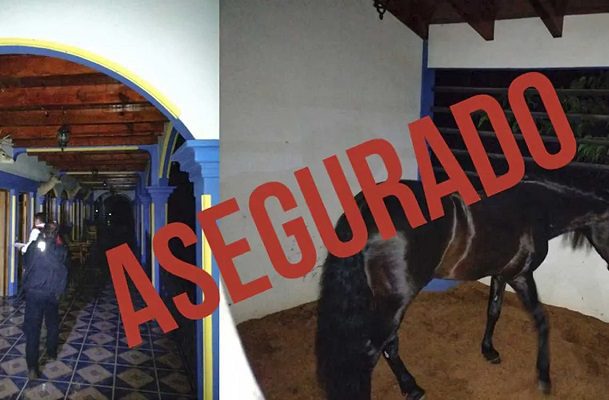 Aseguran cuatro mansiones de lujo con lagos y animales exóticos en Edomex