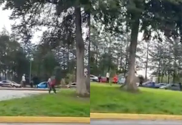 Civiles pelean contra policías en Toluca luego de que mujer denunciara agresión verbal #VIDEO