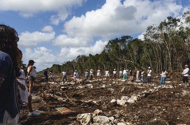 INAI ordena a Fonatur transparentar contratos de supervisión del Tren Maya