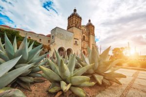Eligen a Oaxaca como la mejor ciudad del mundo para visitar