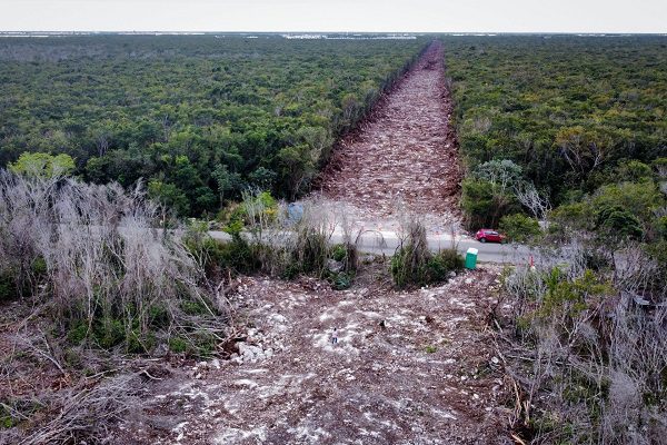 La Sedatu busca expropiar 38 hectáreas para tramo 5 del Tren Maya