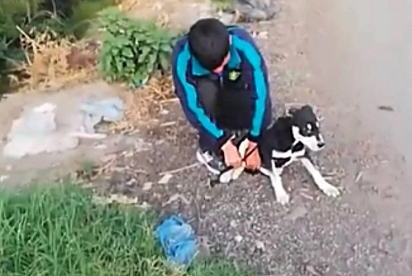 Sujeto ata a perrito y lo avienta a río en Chiconcuac, en Edomex