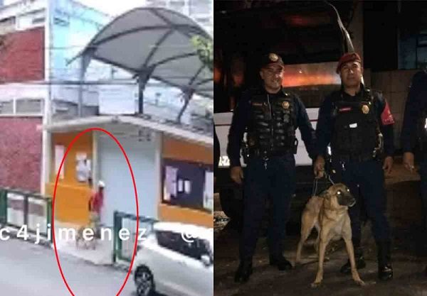 Policías de CDMX rescatan a perrita abandonada amarrada en una reja #VIDEOS