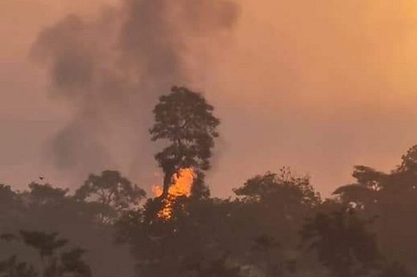 Explota ducto de Pemex en Chacaltianguis, Veracruz #VIDEOS