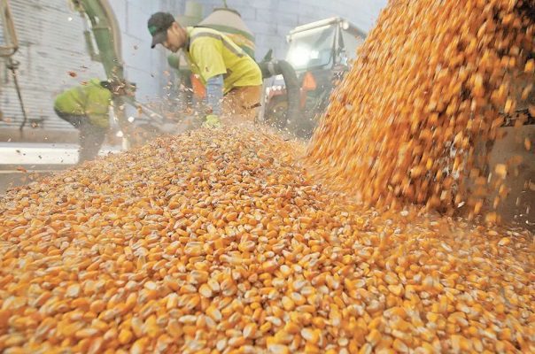 Ucrania y Rusia pactan corredor marítimo para exportar cereales