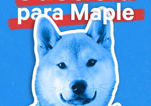 Congreso CDMX pide dar seguimiento al caso #JusticiaParaMaple