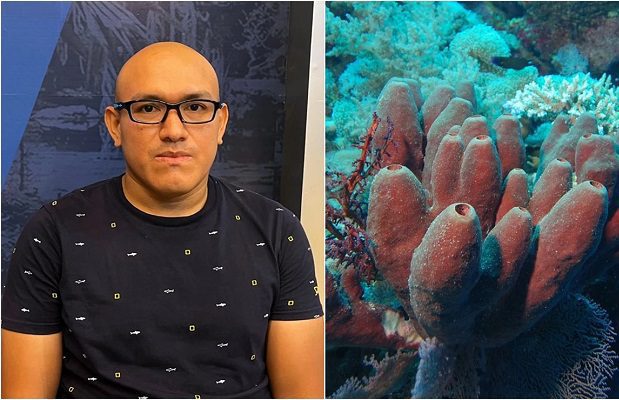 Biólogo mexicano descubre que esponjas marinas podrían combatir el alzheimer