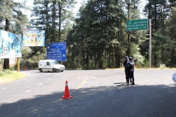 Hallan cabeza humana en paraje en Hidalgo mientras era comida por perros