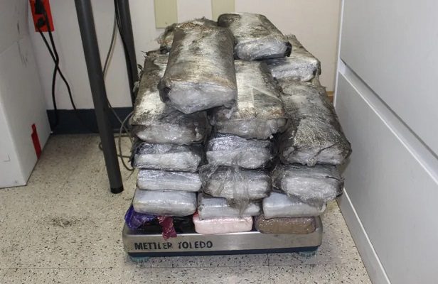 Aseguran en CDMX una tonelada de cocaína que sería distribuida en Tepito