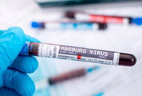 La OMS confirma dos nuevos contagios del virus de Marburgo