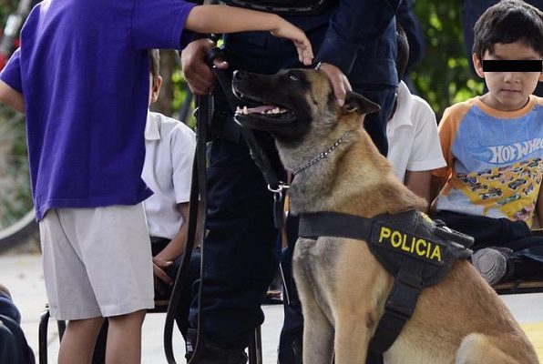 Perro policía en Torreón dona sangre a lomito enfermo
