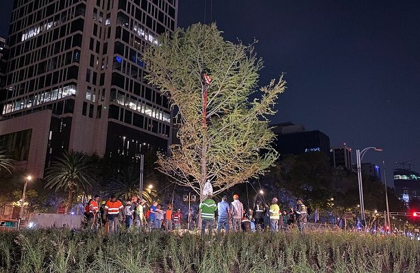 Gobierno CDMX anuncia que ampliará la glorieta del ahuehuete en Reforma
