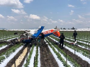 Avioneta fumigadora se desploma en un terreno agrícola en Michoacán