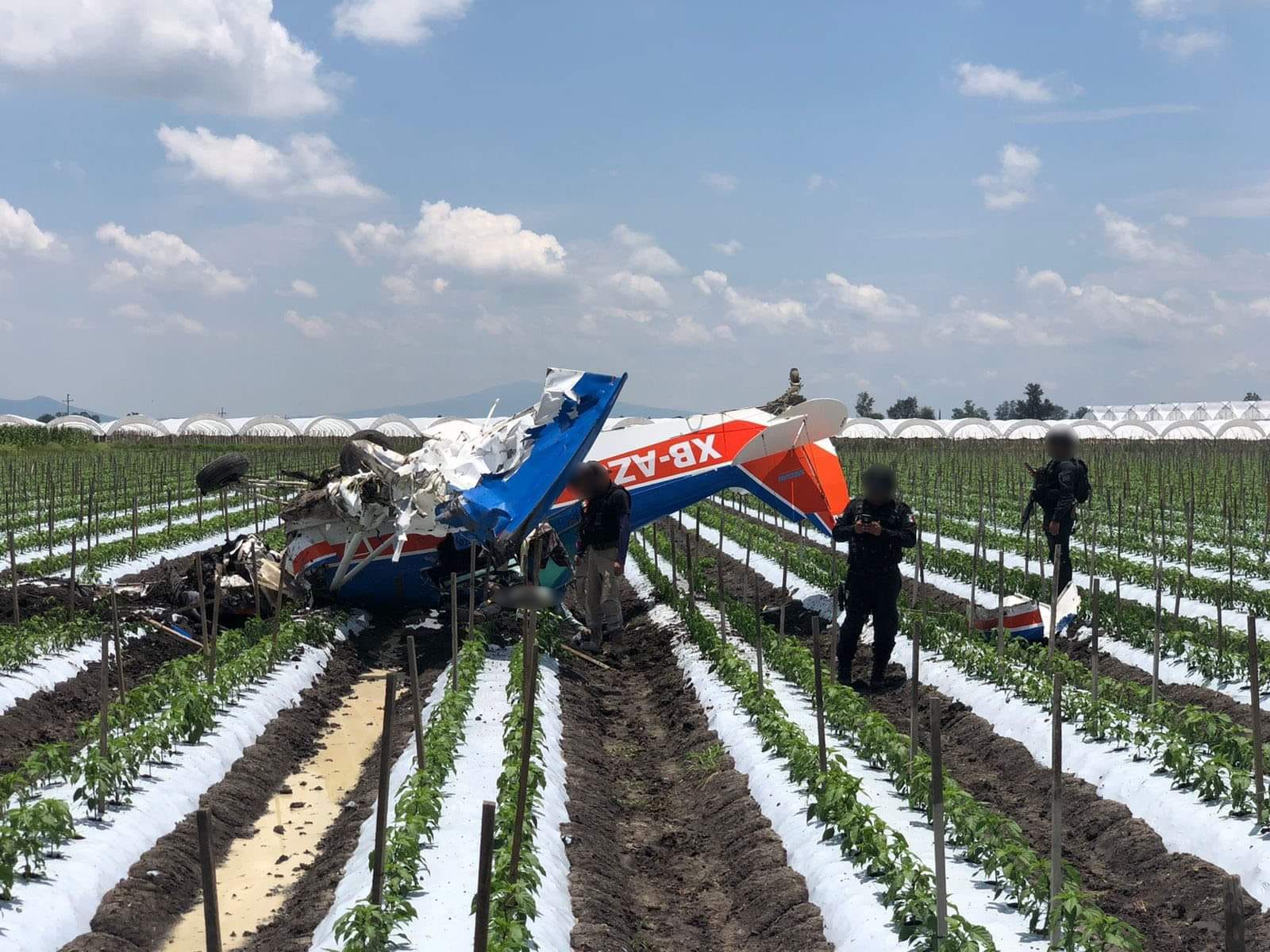 Avioneta fumigadora desplomada en un terreno agrícola en Michoacán