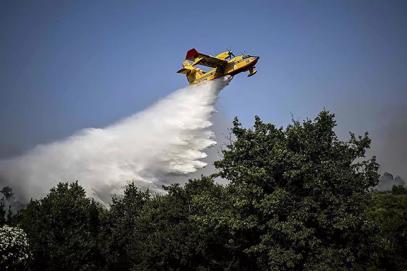 Muere piloto de avión contraincendios en accidente en Portugal