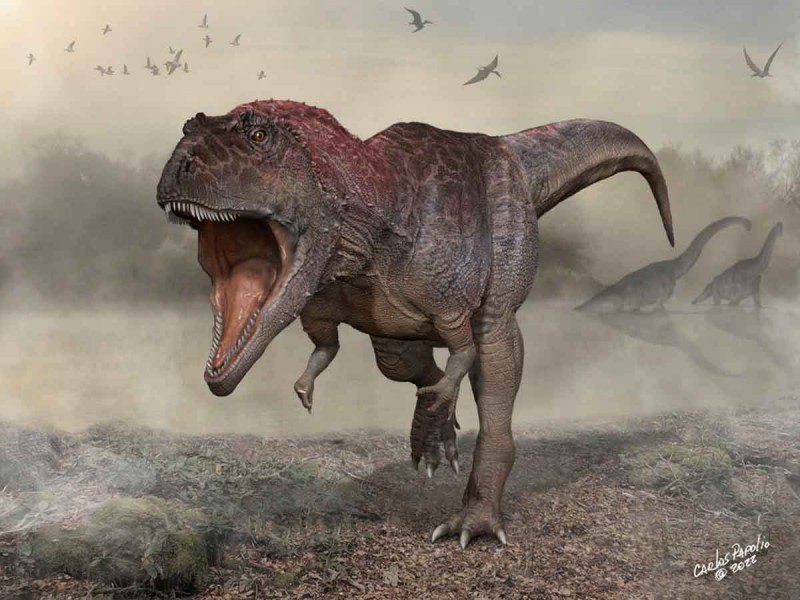 Nueva especie de dinosaurio