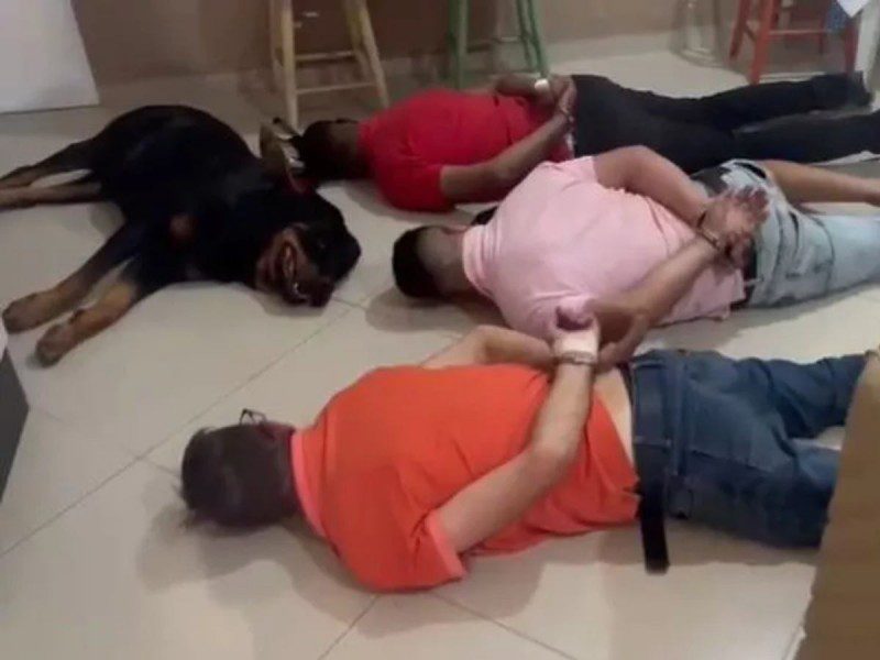 Perro guardián 'se rinde' junto a narcos durante operativo policial