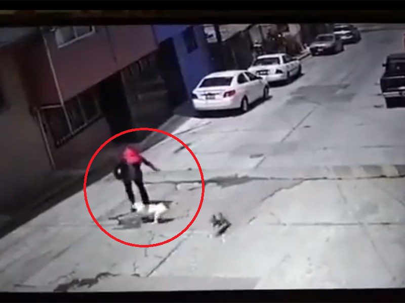 Perro pitbull ataca a una abuelita en Puebla