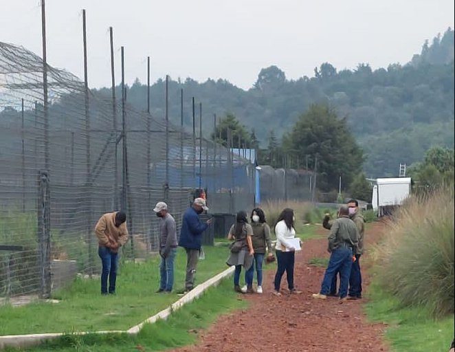Profepa en refugio de felinos en Tlalpan tras denuncia de maltrato animal