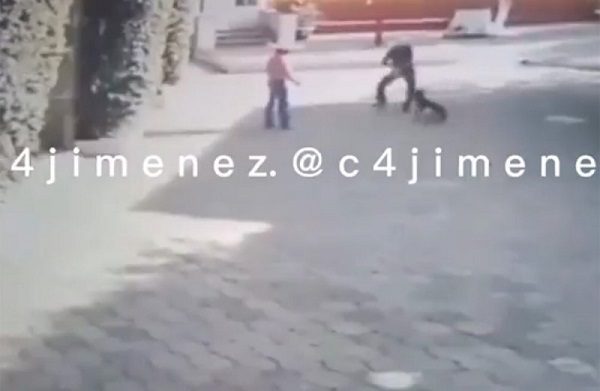 Sujetos dan brutal golpiza a perrito en calles de CDMX
