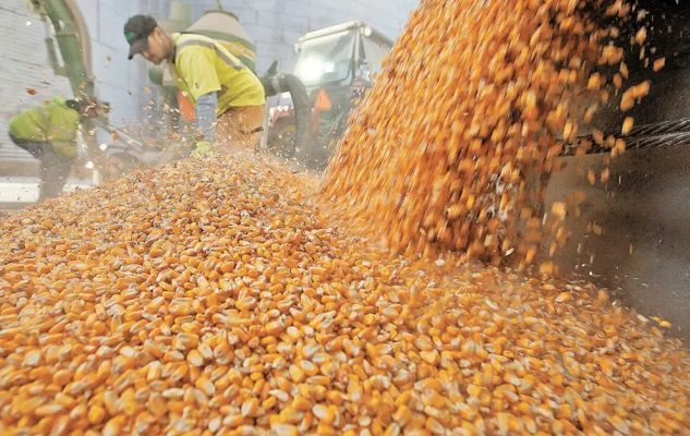 Cargamento ucraniano de cereales, primero en salir desde invasión, llega a Turquía