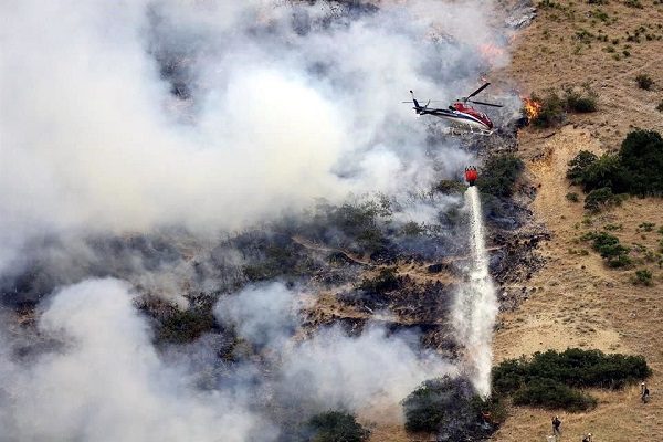 Hombre provoca incendio forestal en EU al intentar quemar una araña