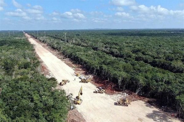 Juez admite ampliación de amparo de Greenpeace contra Tren Maya