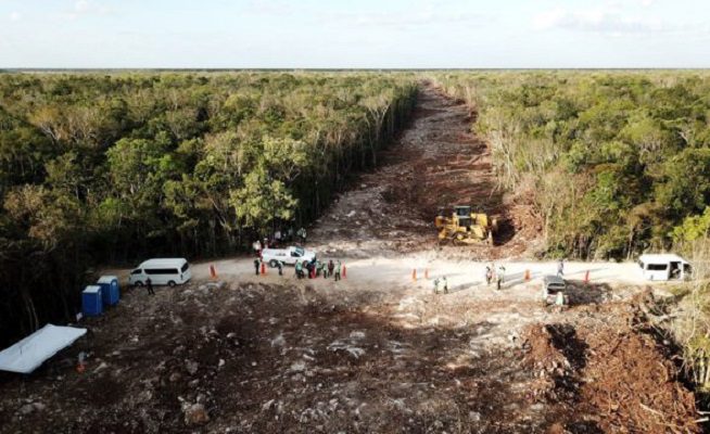 Juez niega última suspensión contra construcción del Tramo 5 del Tren Maya