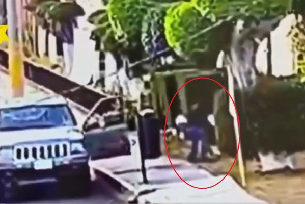 Sujeto abandona a perrito enfermo en parque de Puebla #VIDEO