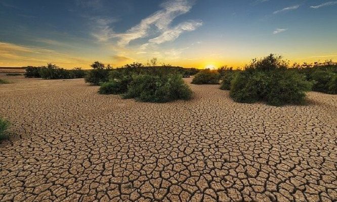 Inglaterra declaran oficialmente estado de sequía en algunas zonas