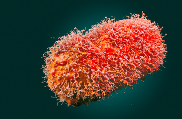 Alerta la presencia de viruela del mono en niños