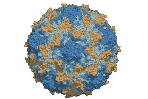 Alertan por virus del polio en aguas residuales de Nueva York