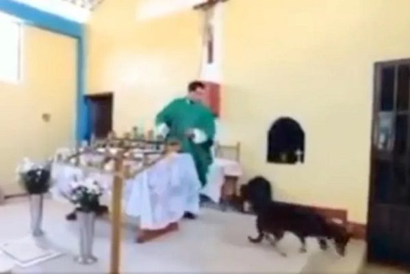 Sacerdote patea a perrito en plena misa y causa indignación #VIDEO