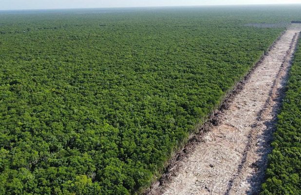Inai orden a Fonatur informar sobre empresas de outsourcing involucradas en Tren Maya