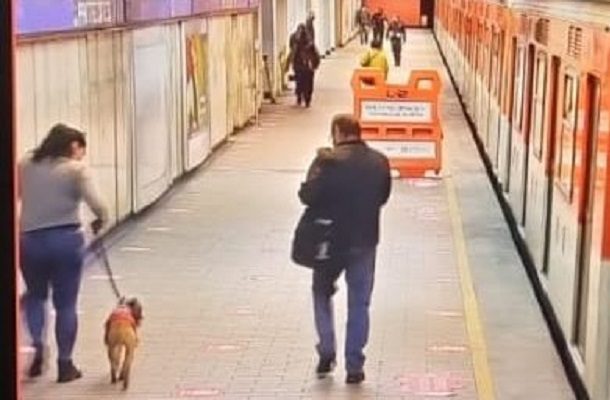 Rescate de perrito provoca cortes de corriente en la Línea 2 del Metro